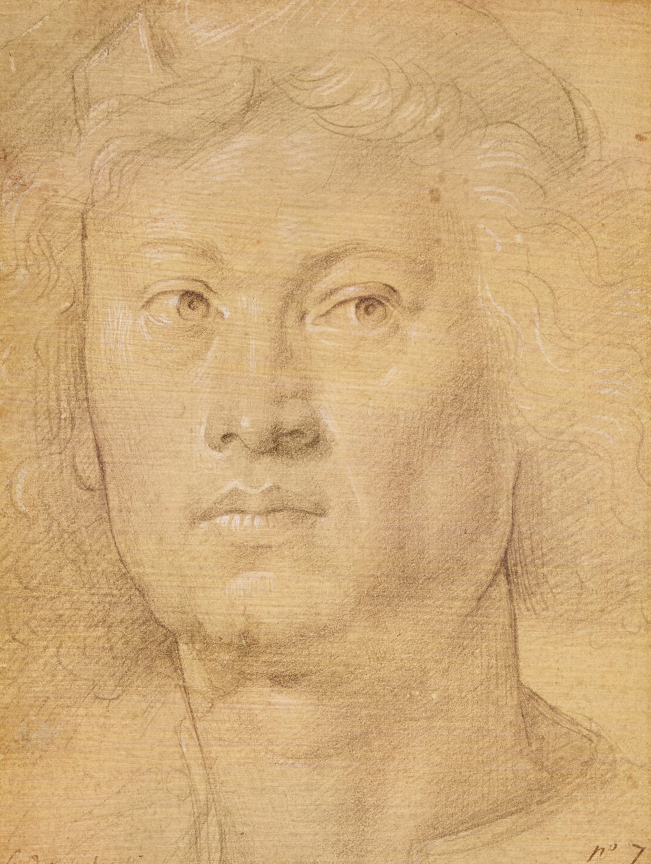 Hodet til en engel (blyant og fargestift på papir) av Sandro Botticelli