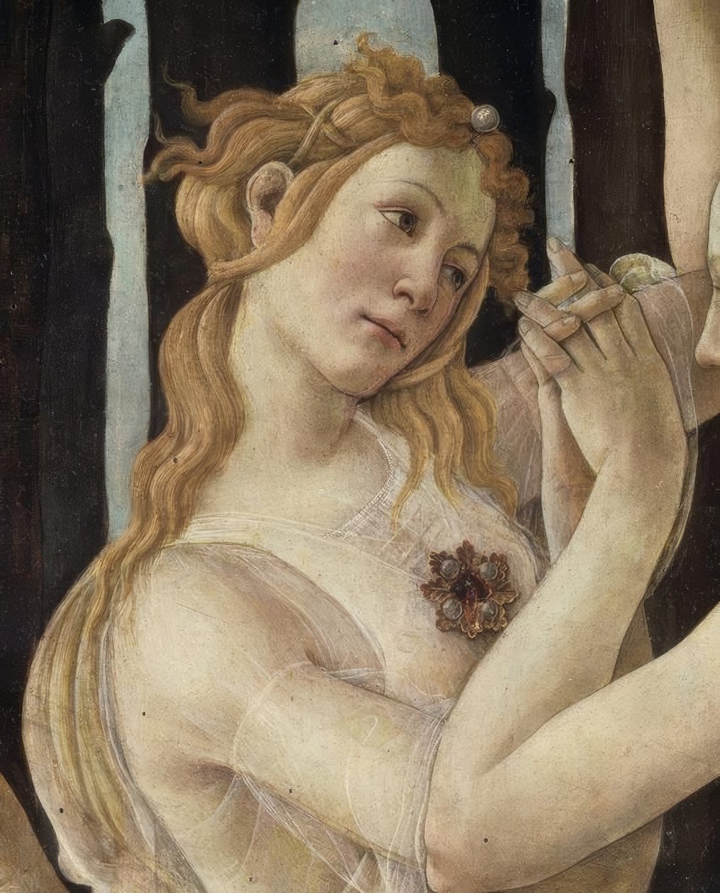 Vår av Sandro Botticelli