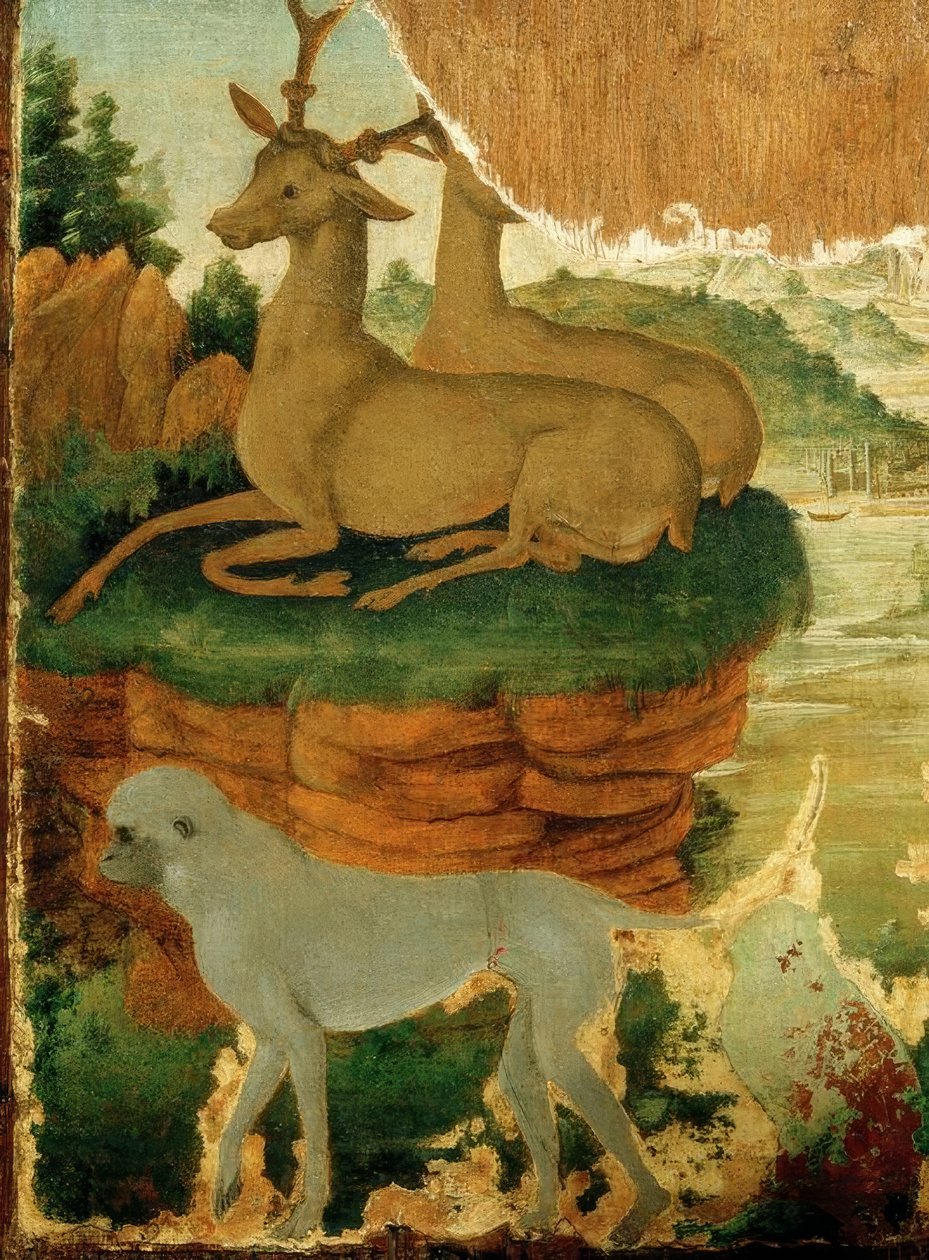 Landskap med rognkjeks og aper av Sandro Botticelli