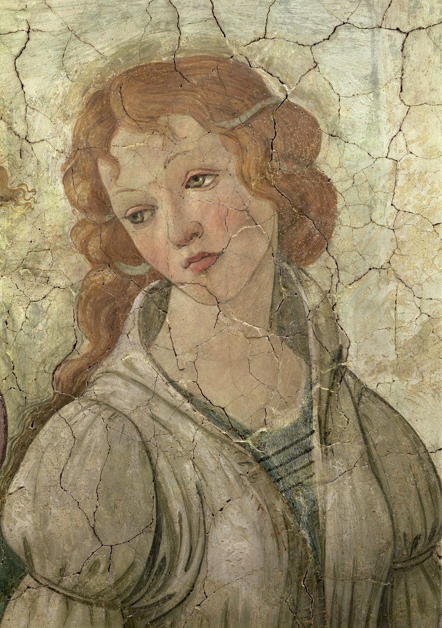 Venus and the Three Graces tilbyr gaver til en ung jente, detalj av en av Graces freskedetaljene fra 33760, se også 93891, 93893-4 av Sandro Botticelli