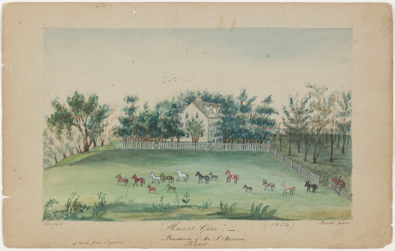 Hyggelig Grove av Sarah Ann Lillie Hardinge