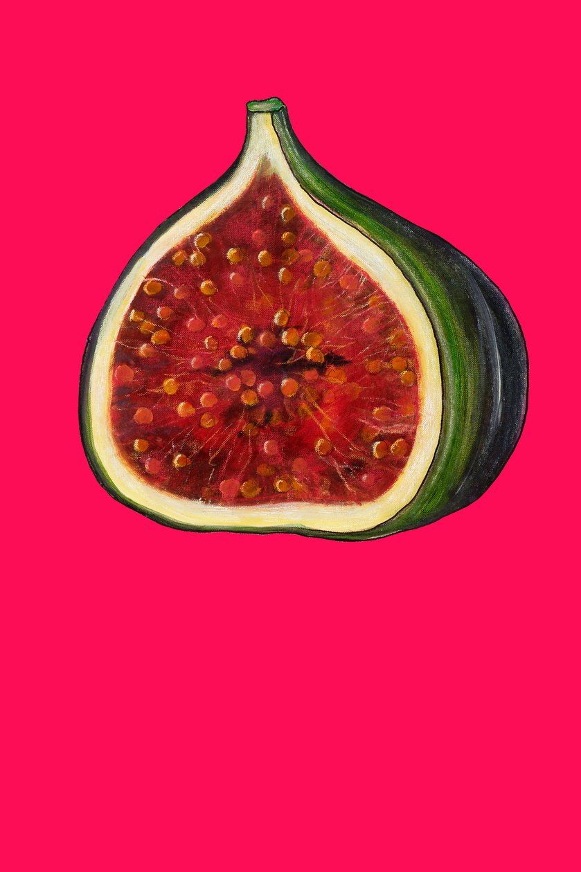 Fig, 2007 (olje og pastell på papir) av Sarah Thompson Engels