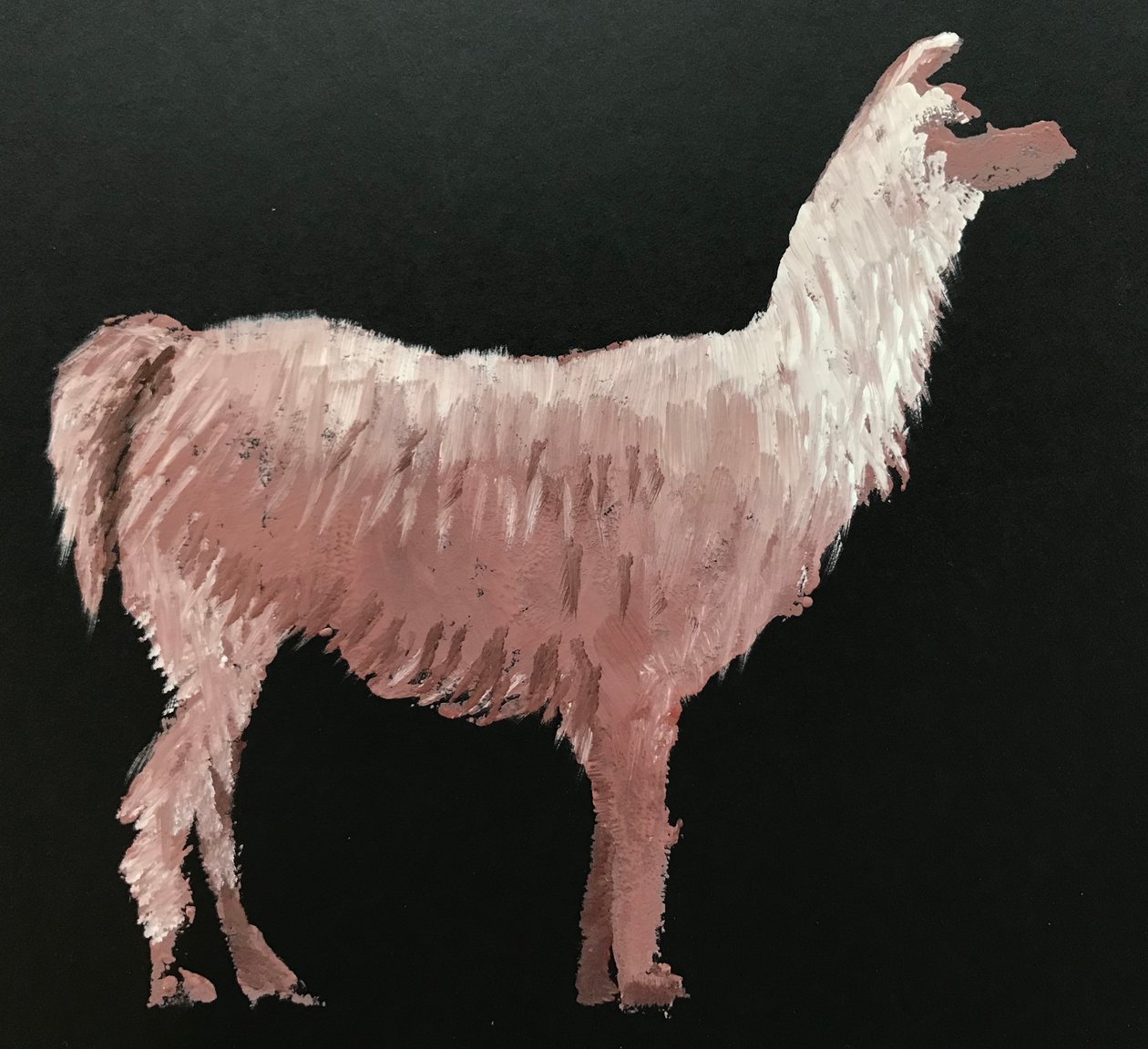 Lama av Sarah Thompson Engels
