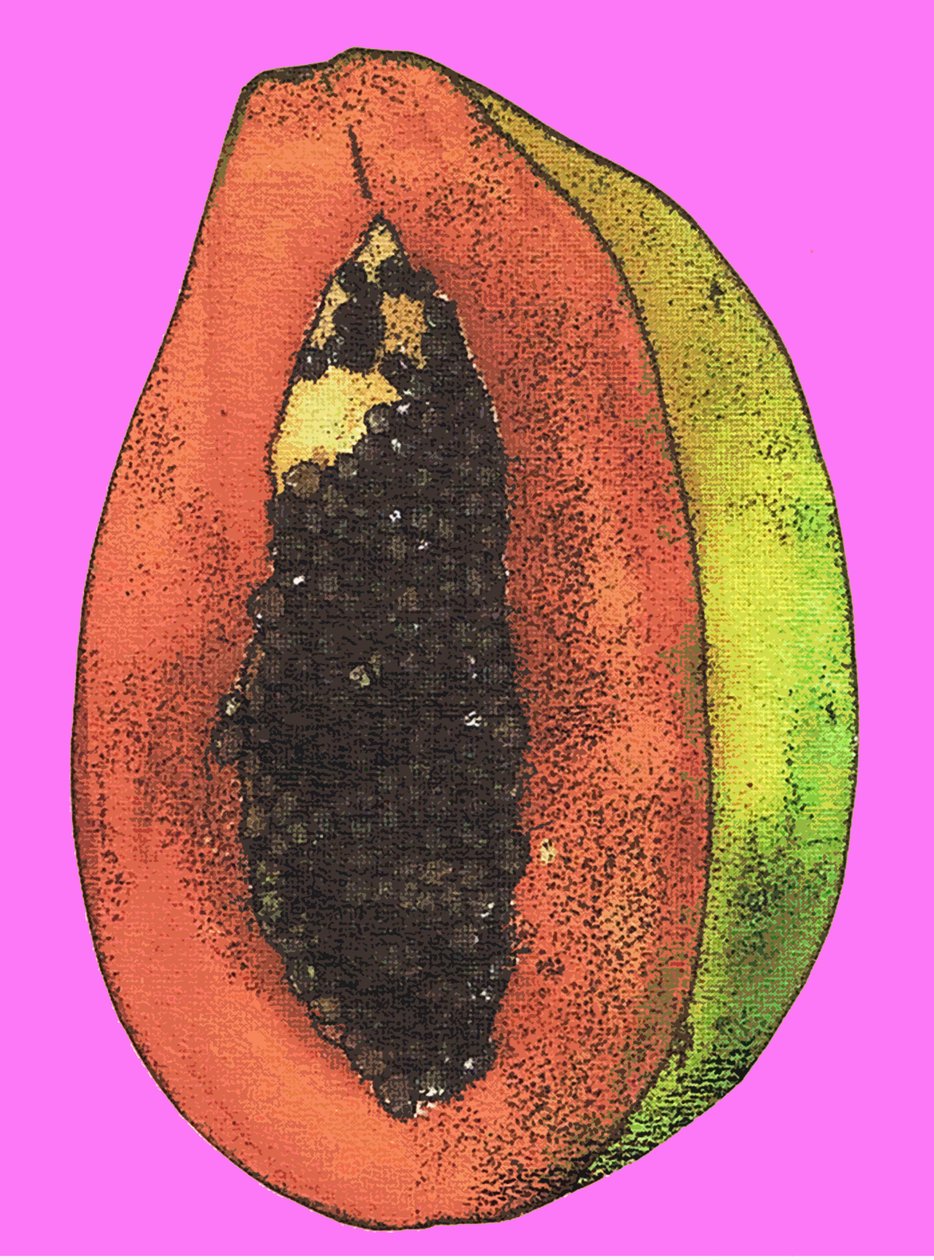 Papaya, 2009 (olje og blekk på papir) av Sarah Thompson Engels