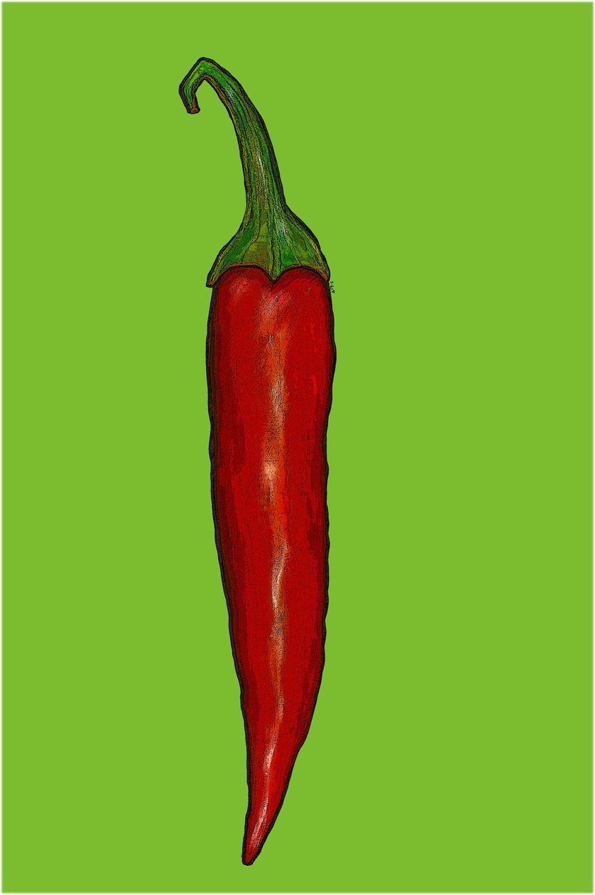 Rødglødende chilipepper av Sarah Thompson Engels