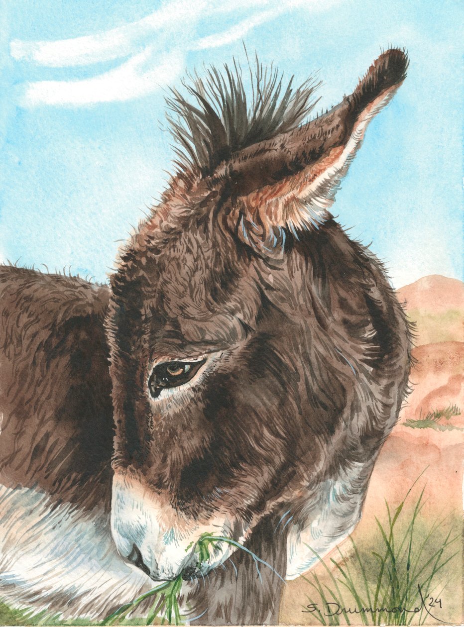  av Sarah Drummond