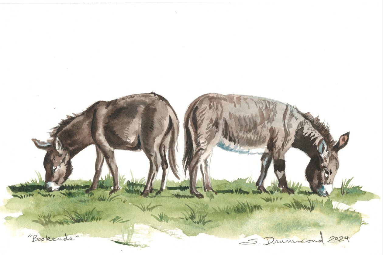 av Sarah Drummond