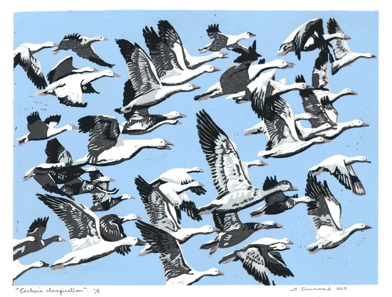  av Sarah Drummond