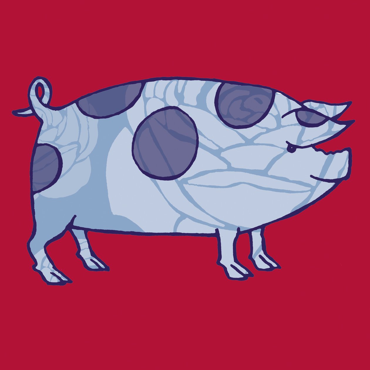 Piddle Valley Pig, 2005 (digital) av Sarah Hough