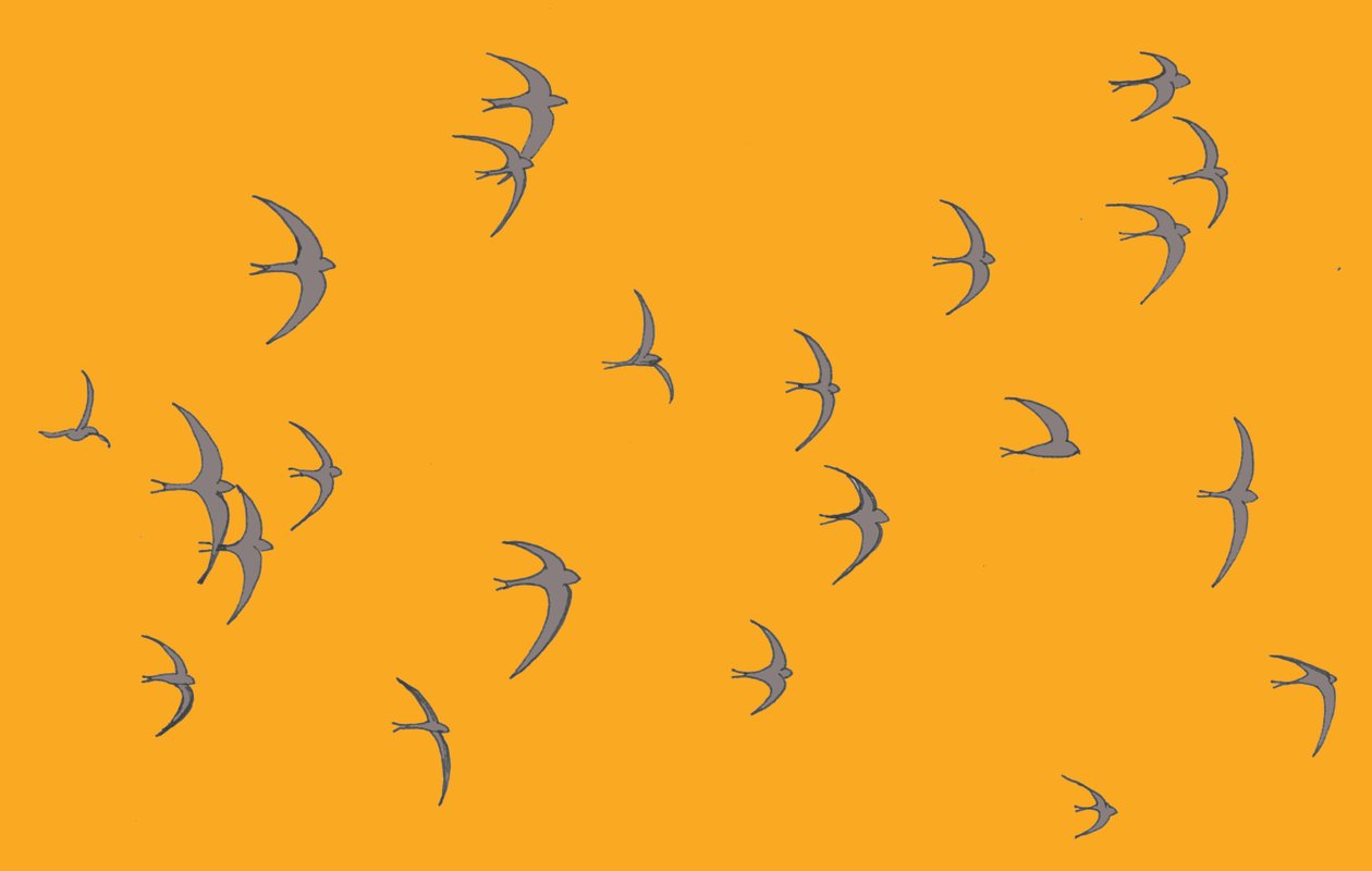 Swifts, 2017 av Sarah Hough