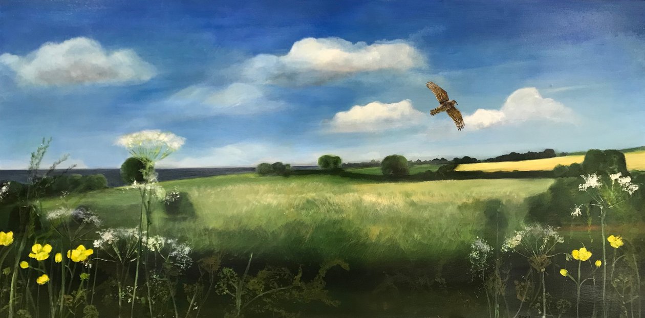 Buzzard, 2022 (olje om bord) av Sarah Thompson Engels