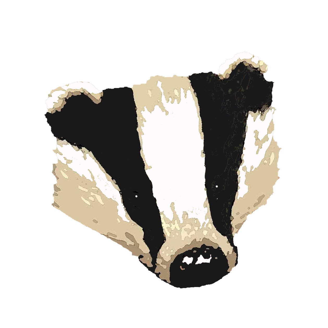 Badger, 2018, (digital tegning) av Sarah Thompson Engels