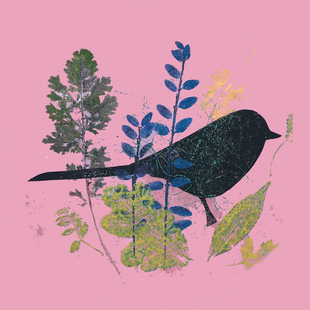 Fugl og blader, 2019 (blekk monoprint) av Sarah Thompson Engels