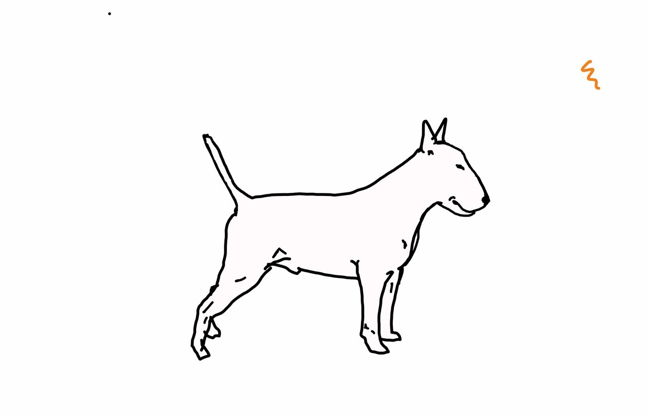 Bull terrier, 2018, (digital tegning) av Sarah Thompson Engels