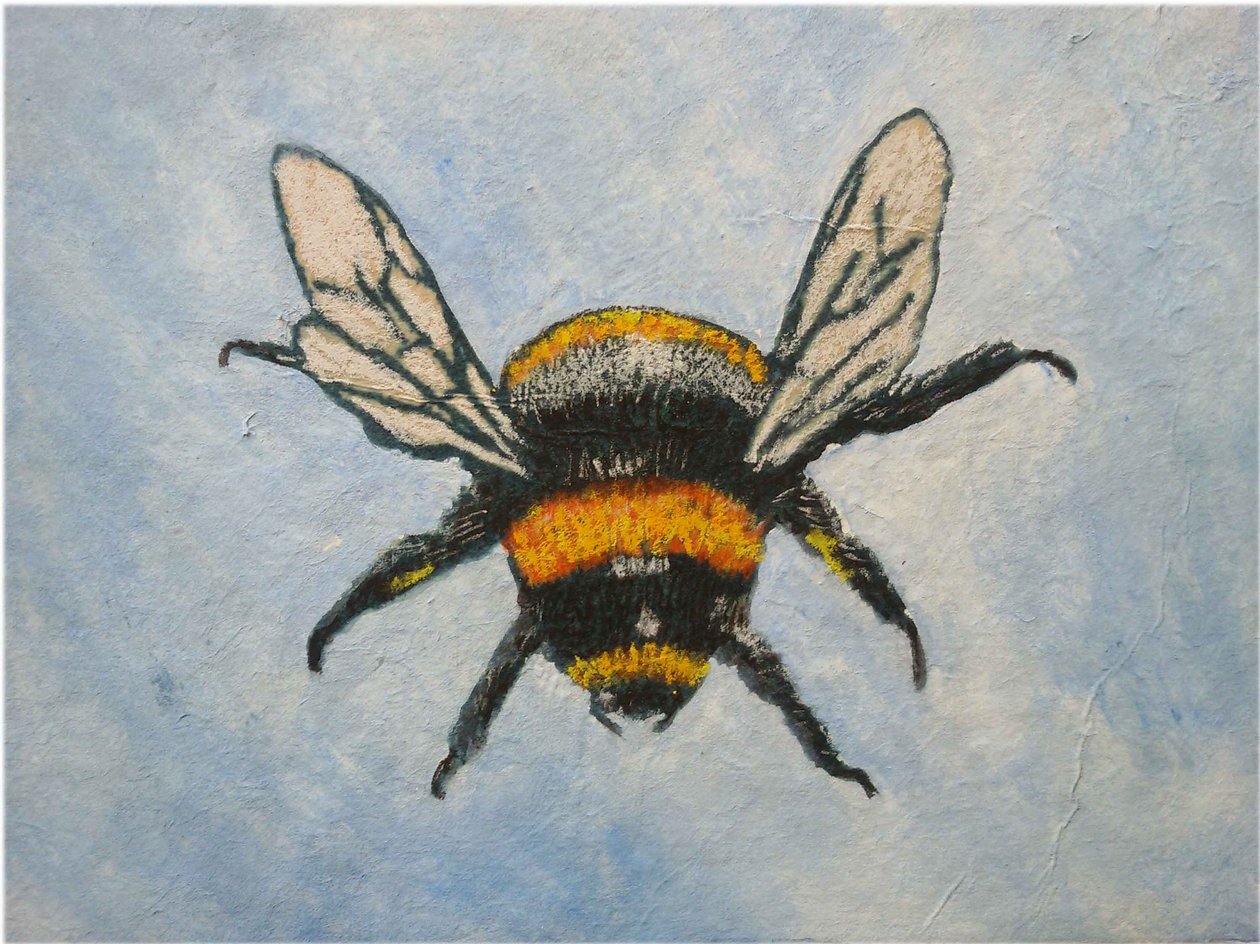 Humle, 2015 (pastell og akvareller) av Sarah Thompson Engels