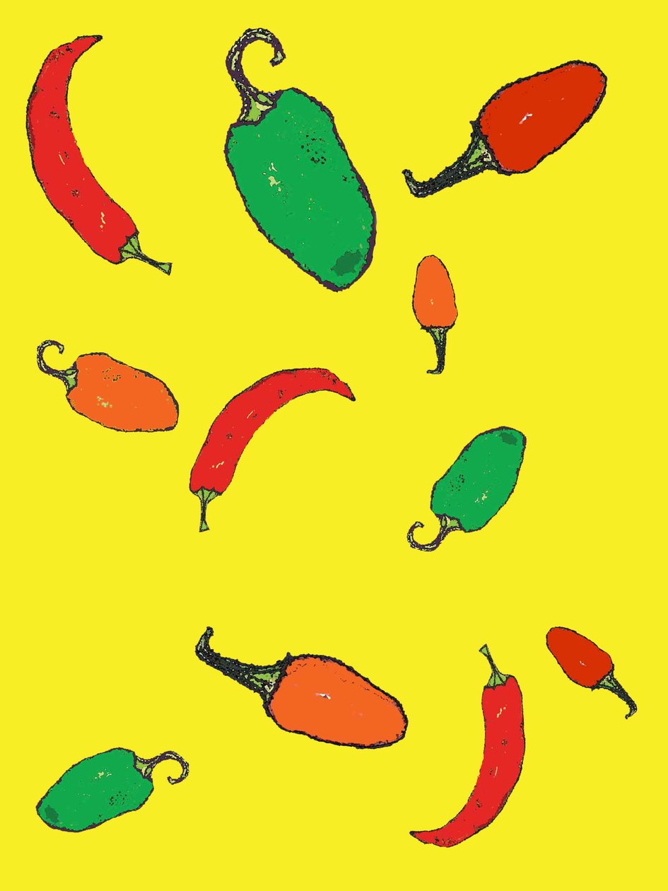 Chili 2012 (monoprint med blekk) av Sarah Thompson Engels