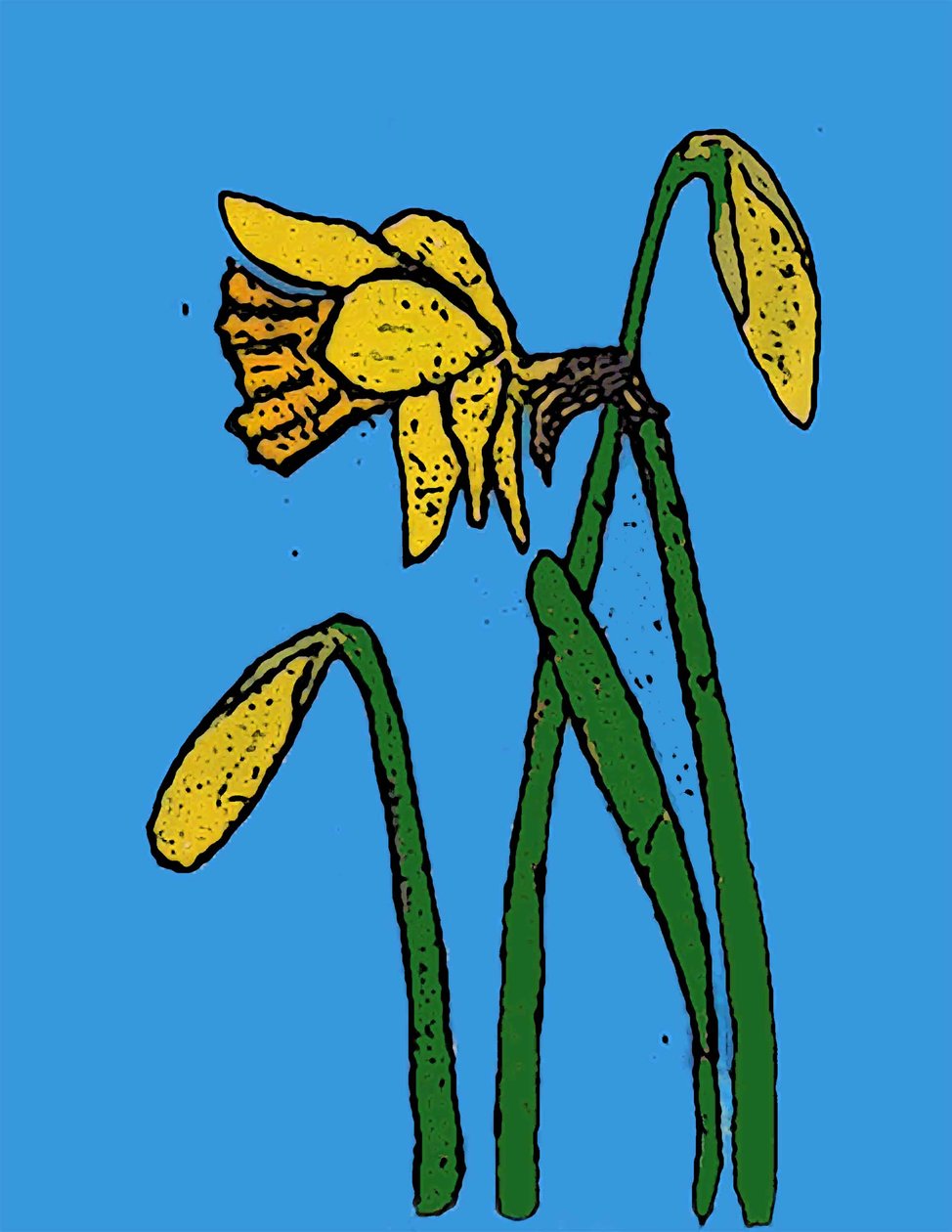 Påskeliljer, 2015 (monoprint med blekk) av Sarah Thompson Engels