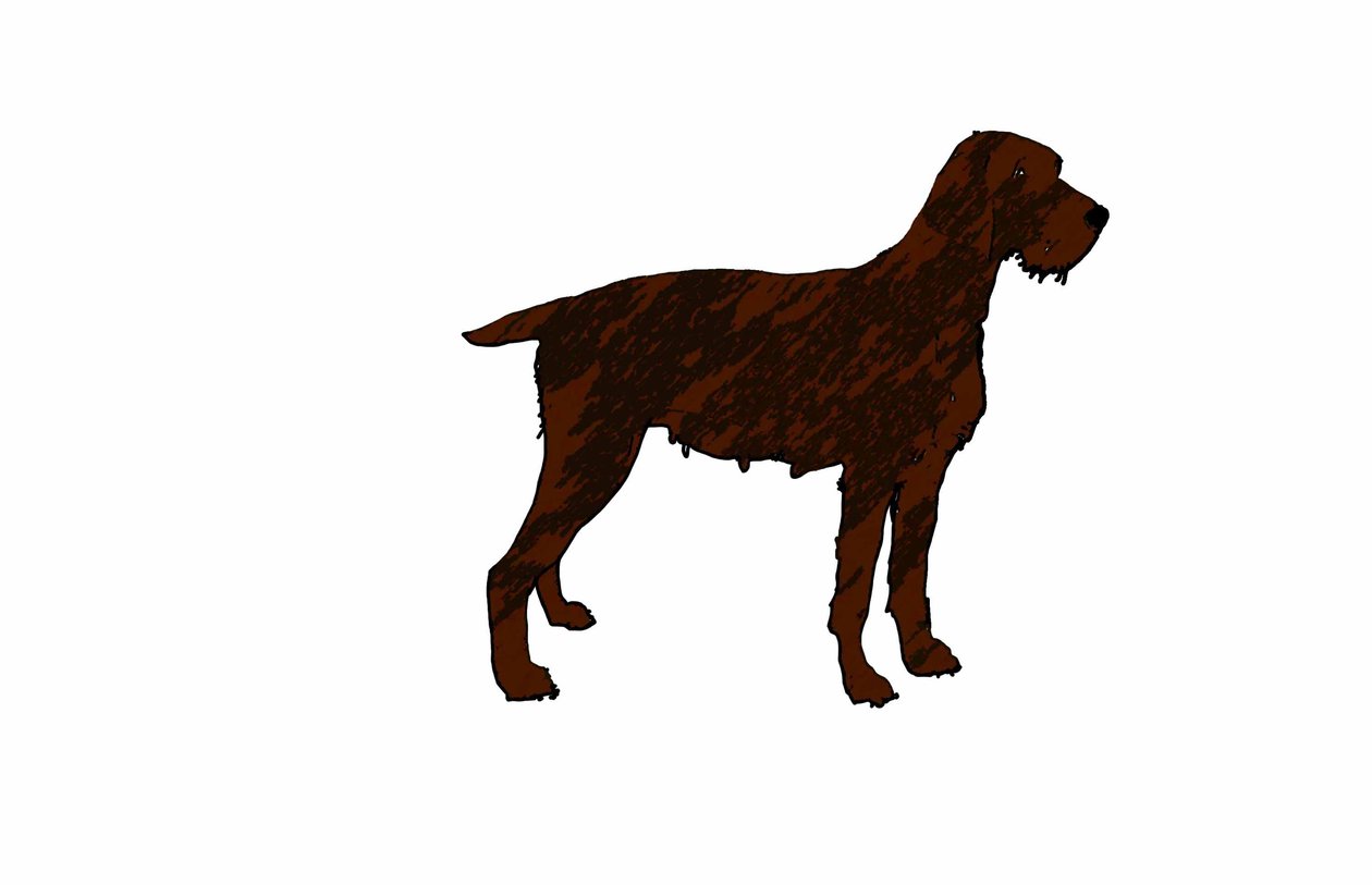 Dog, 2018, (digital tegning) av Sarah Thompson Engels