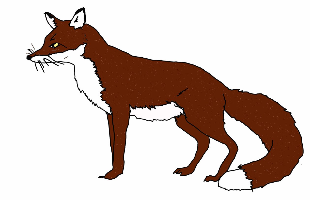 Fox, 2018, (digital tegning) av Sarah Thompson Engels