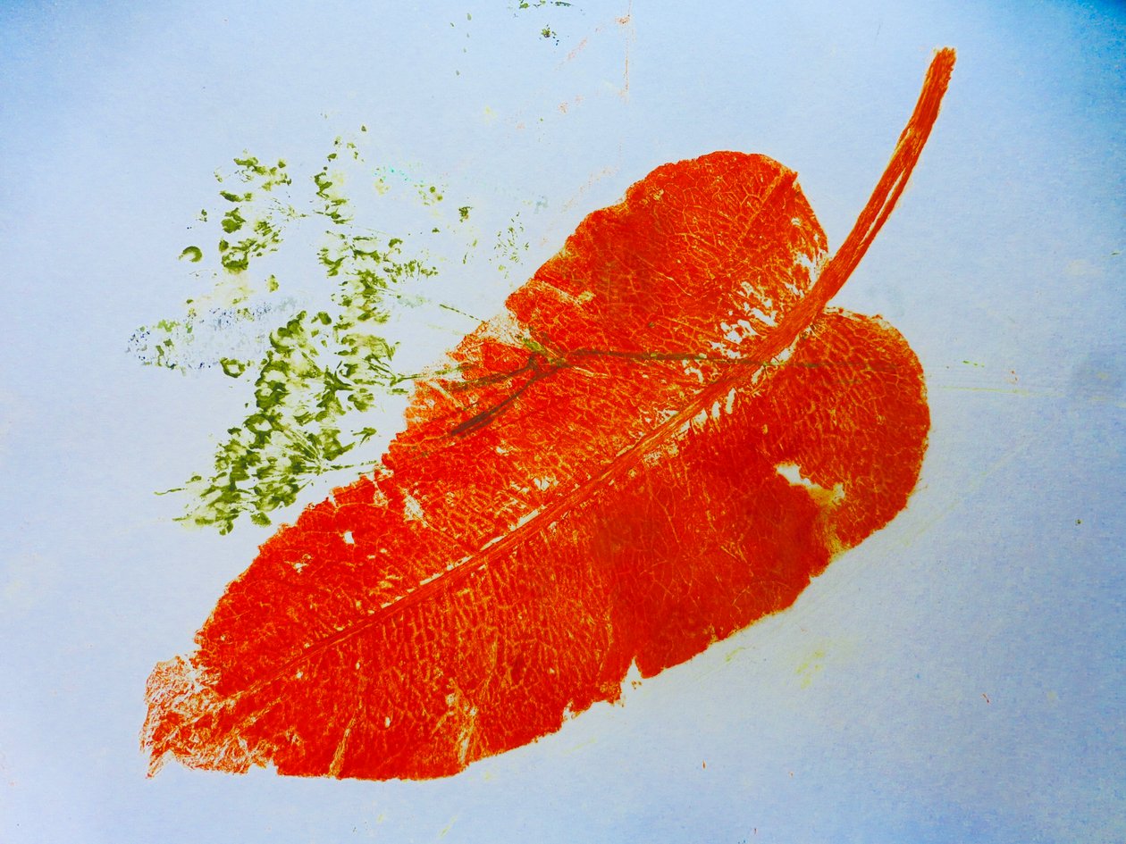 Appelsinblad (monoprint på papir) 2020 av Sarah Thompson Engels