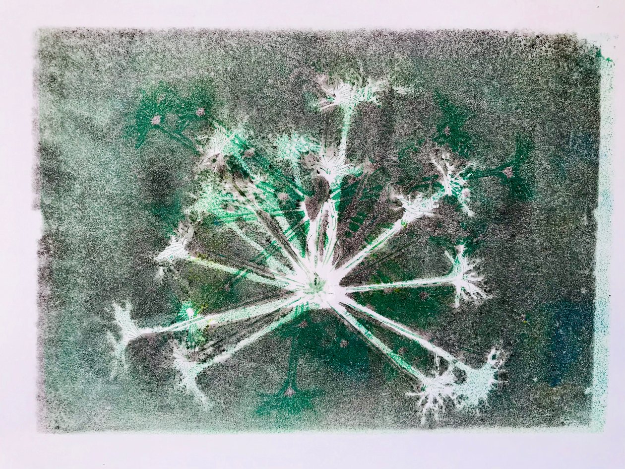 Seedhead I,2020,(monoprint) av Sarah Thompson Engels