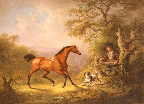 En brudgom som mater en hest (olje på lerret) av Sawrey Gilpin