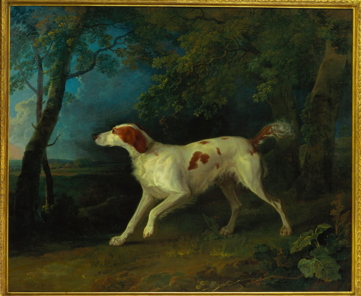 En brun og hvit setter i et skogkledd landskap, 1773 av Sawrey Gilpin