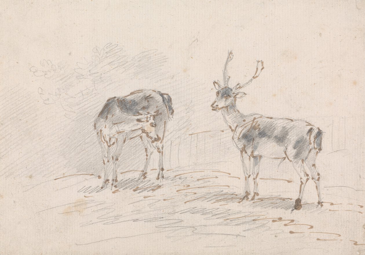 Doe og Buck av Sawrey Gilpin