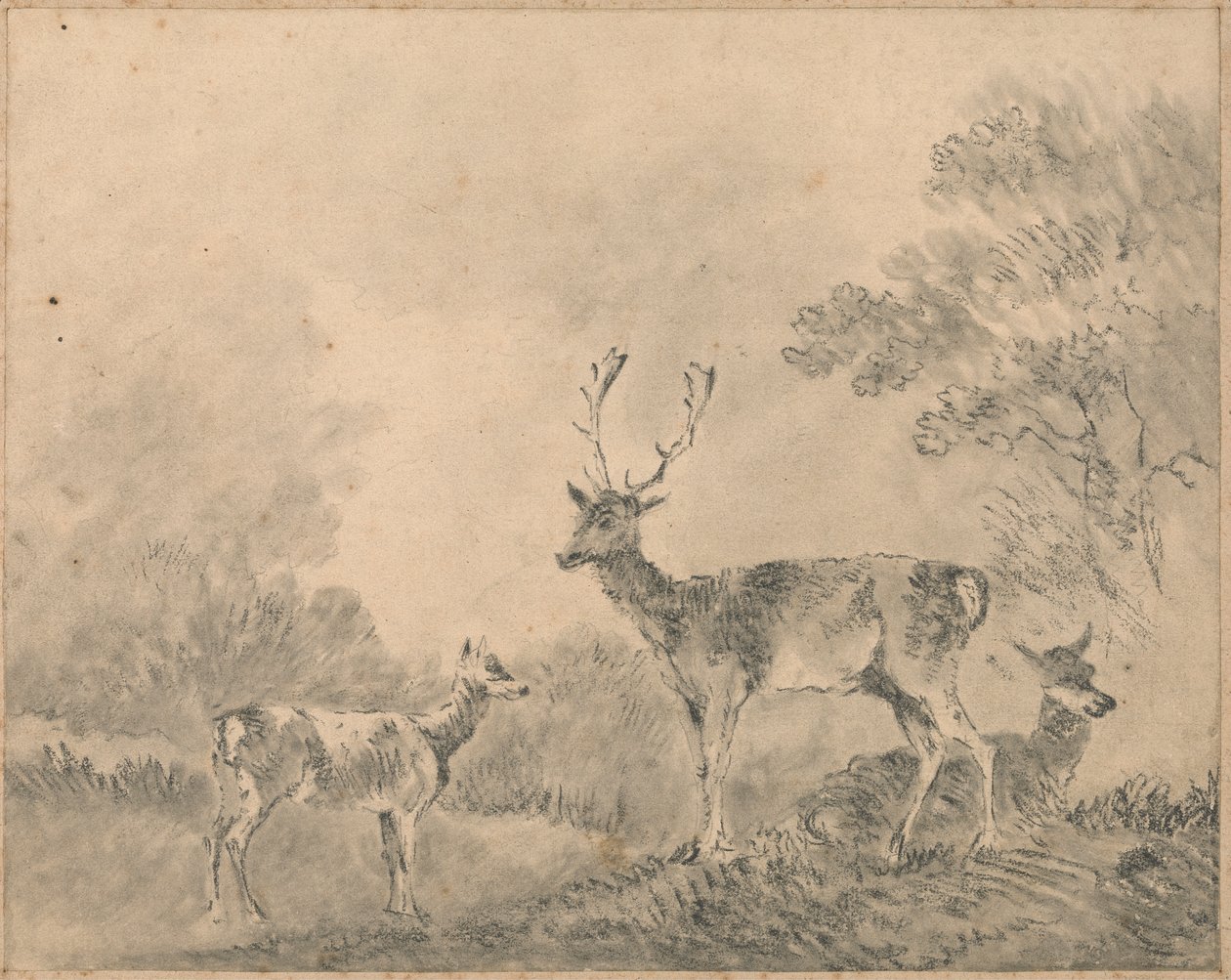 Dåhjort: Hjort, Doe og Fawn i en lysning av Sawrey Gilpin