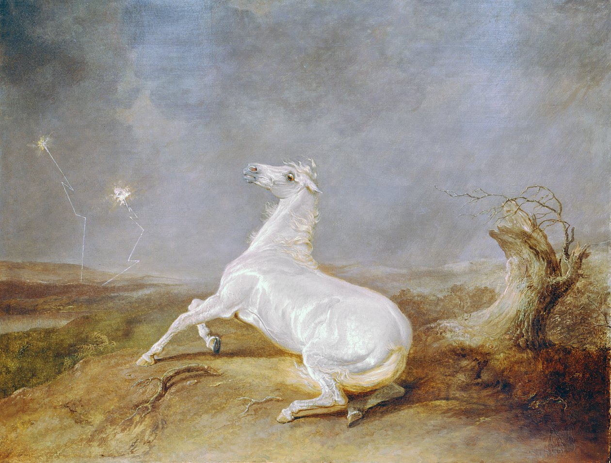 Gal hest av Sawrey Gilpin