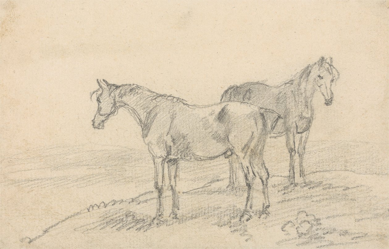 To hester av Sawrey Gilpin