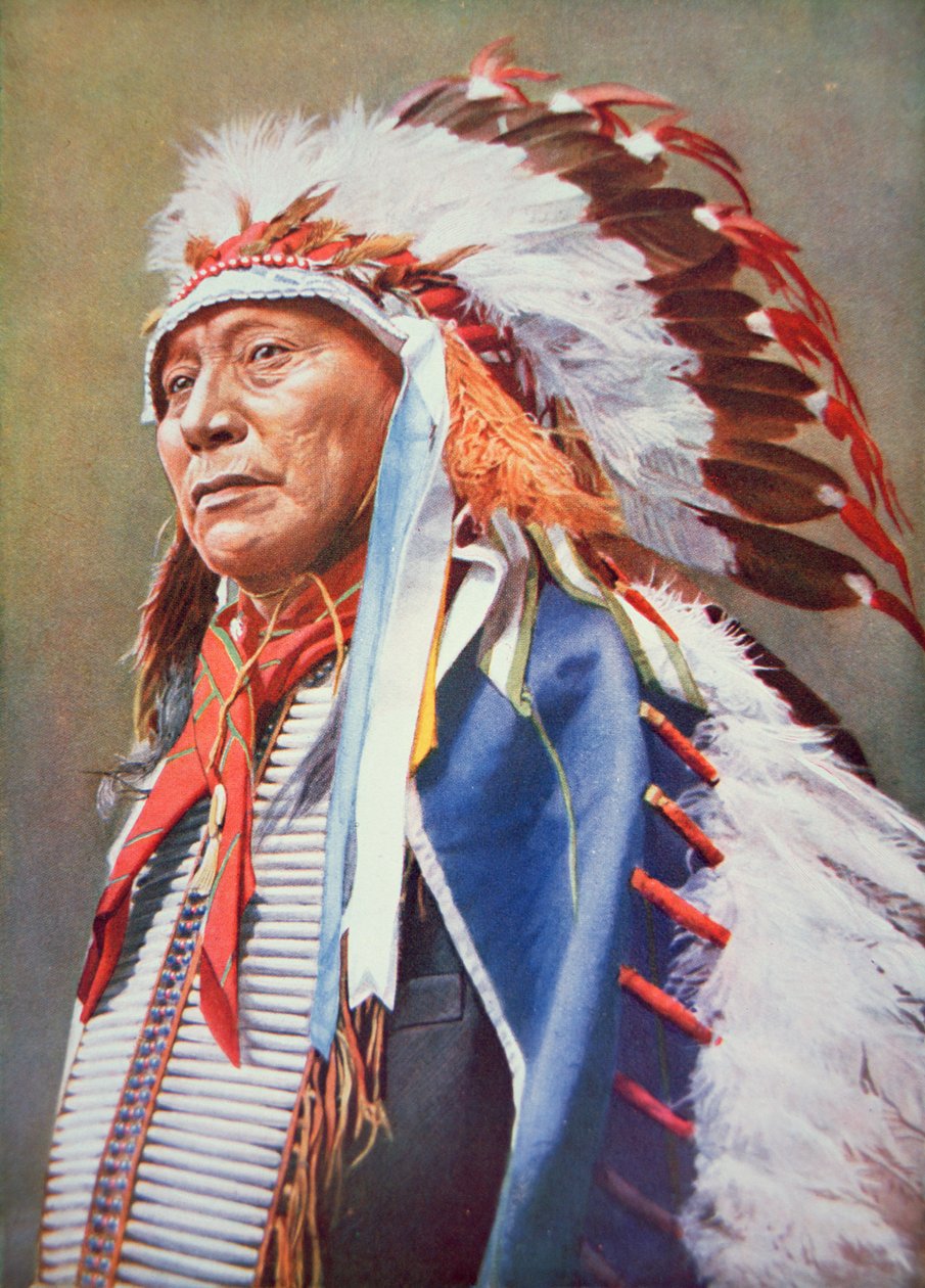 Chief Hollow Horn Bear (1850-1913) (farge litho) av School American