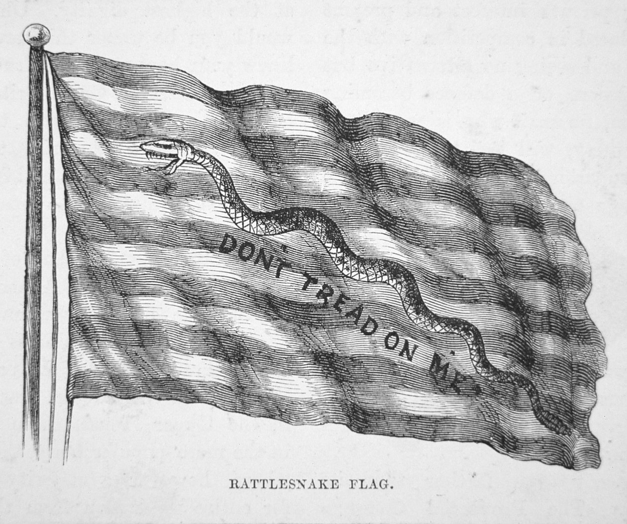 Det amerikanske marineflagget, som fløyet av John Paul Jones (litho) av School American