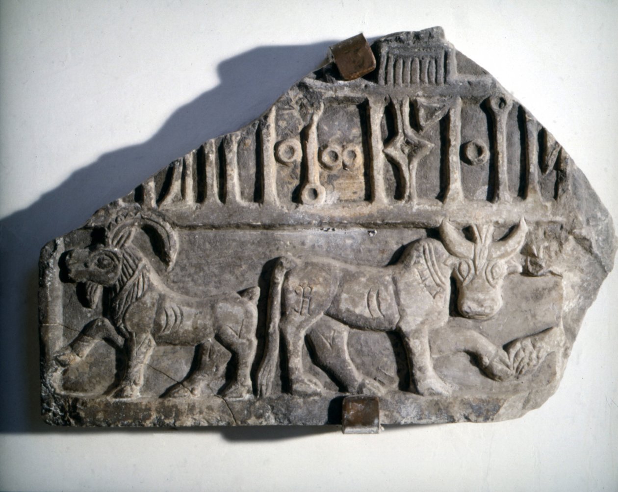 Sør-arabisk kunst: basrelieff med manus som viser dyr. Museo Nazionale Romano, Roma. av School Arabic