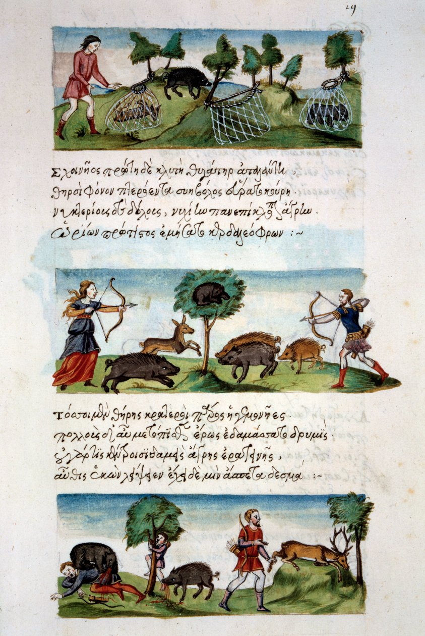 Art Byzantium: villsvinjakt. Ulike jaktteknikker. Øverst: fangst av rødbeter i garn. I sentrum viltjakt etter bue. Nederst: jegere angriper av dyr. Miniatyr i "" De venatione"" folio 19, av Oppian fra Syria av School Byzantine
