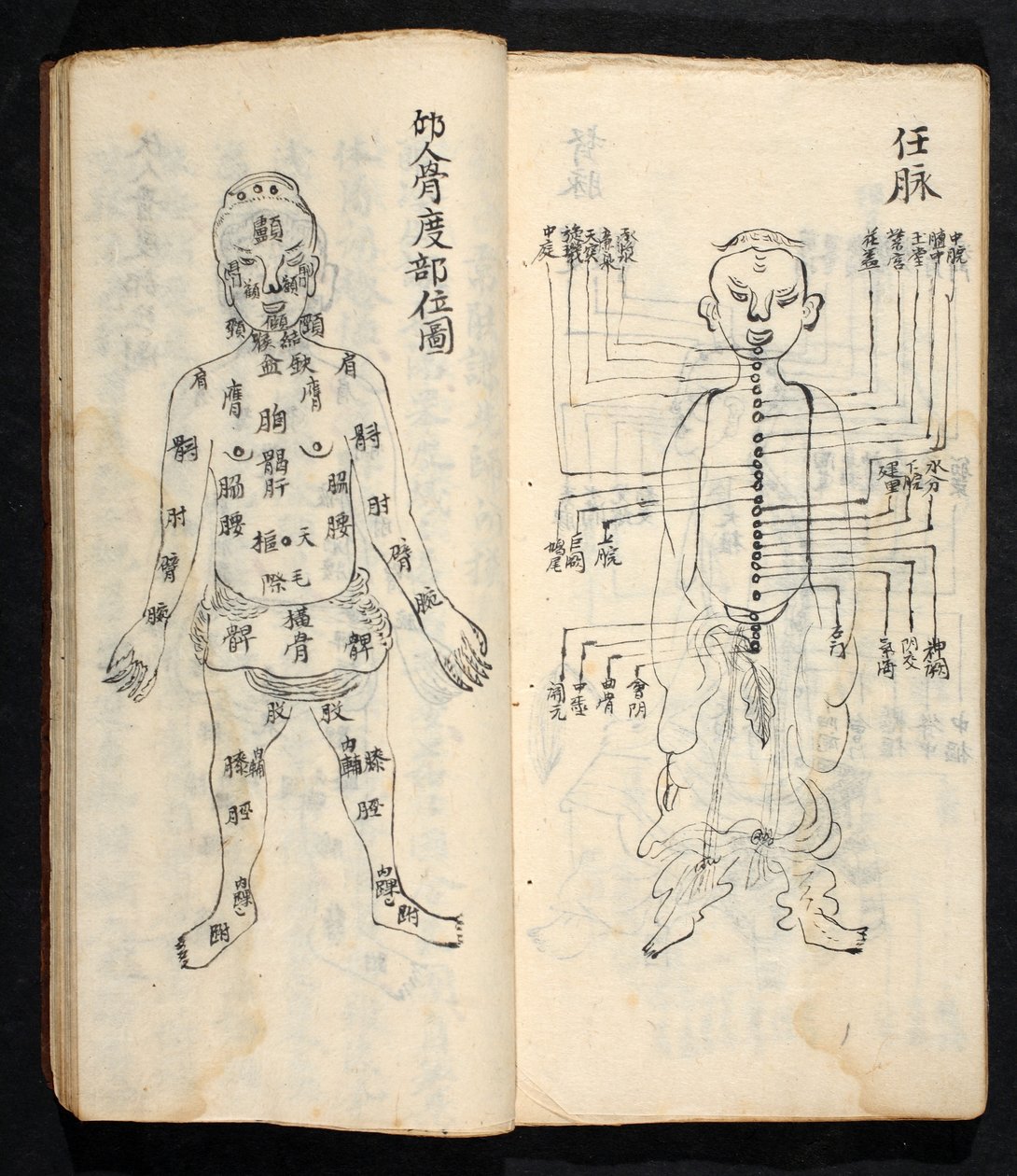 Akupunkturpunkter langs den sentrale linjen i kroppen, fra Jing Guan Qi Zhi, 