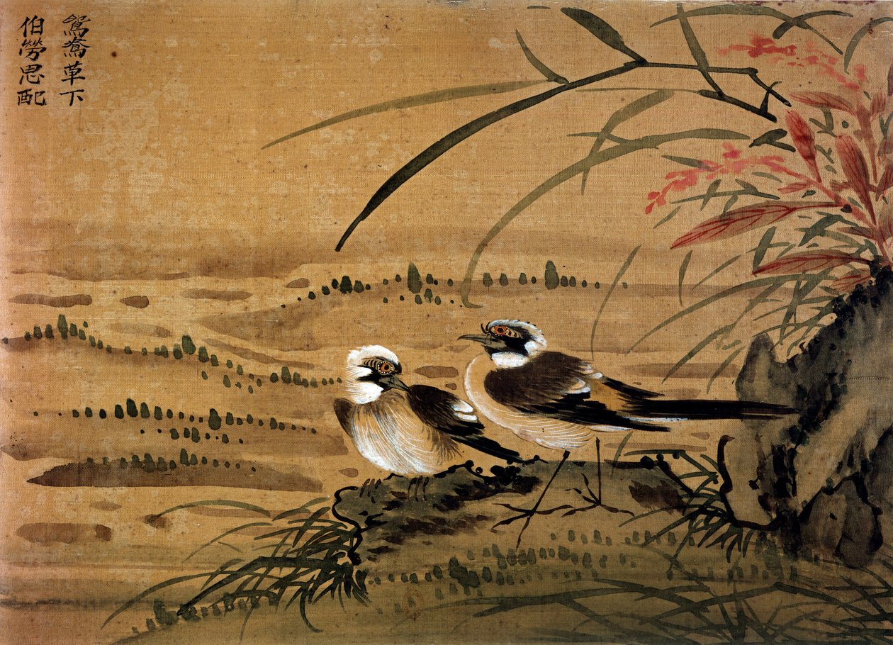 Kunst Kina: Fugler. Silkemaleri av Li youen kien fra 1500-tallet. Paris, BN av School Chinese