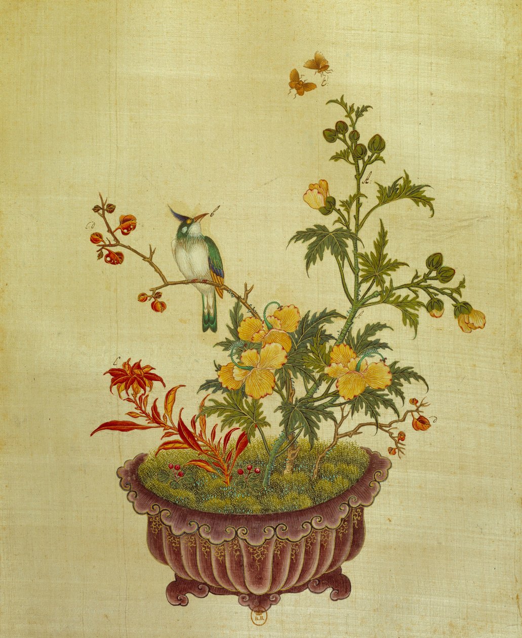 Art China: maleri på silkeblomster og fugler. Anonym fra 1700-tallet. Paris, BN av School Chinese
