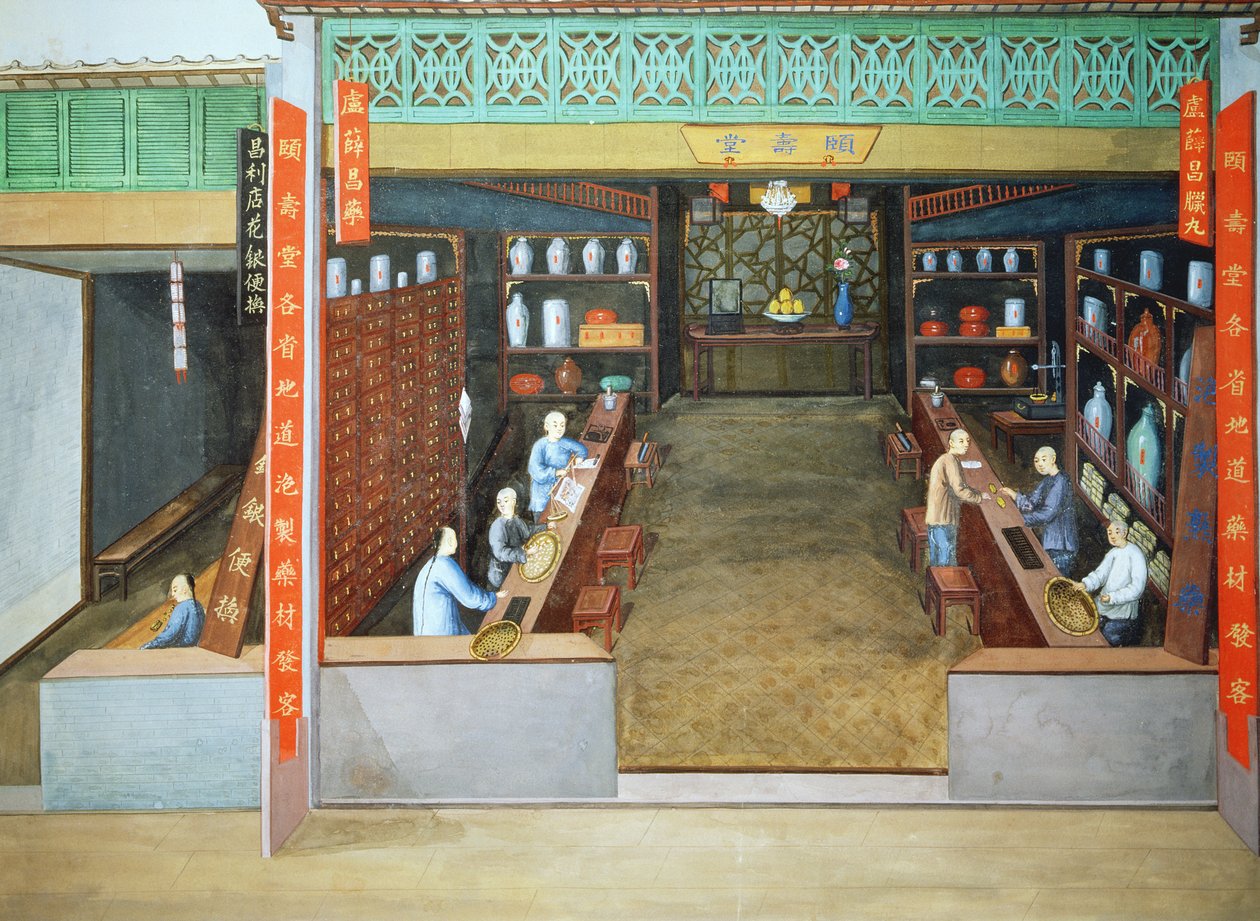  av School Chinese