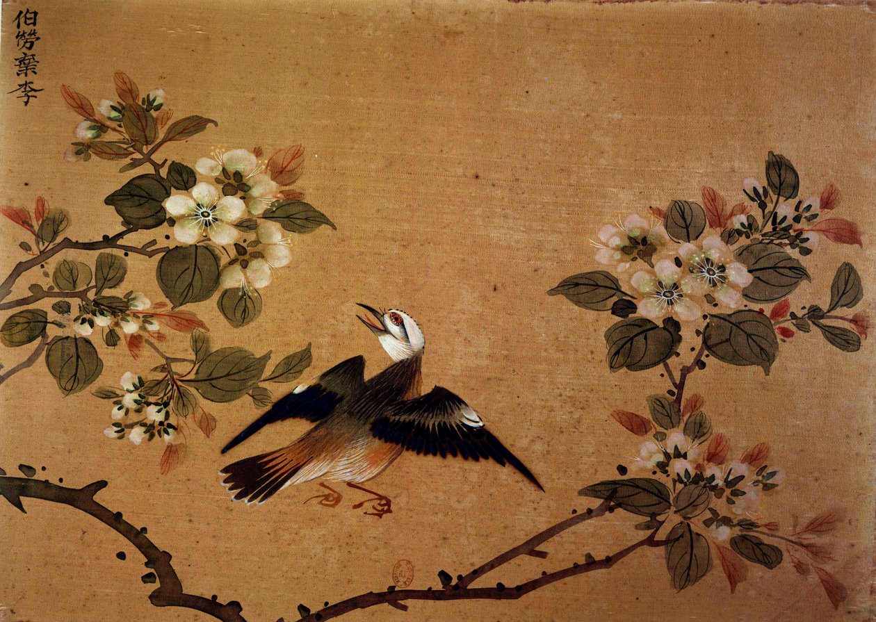 Kinesisk kunst: fugl og blomster. Silkemaleri fra 1500-tallet. Paris, BN av School Chinese