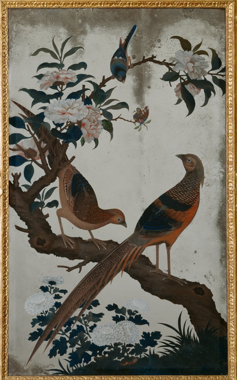 Gullfasaner, Ch