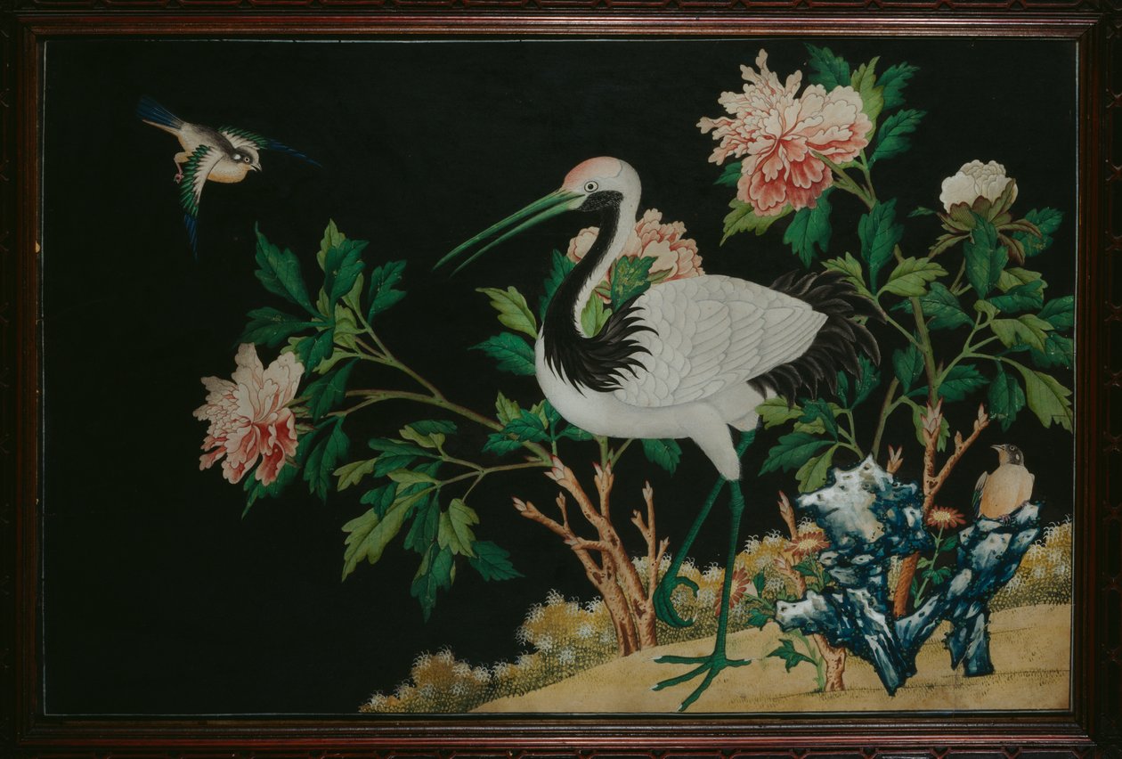Manchurian Crane, Ch