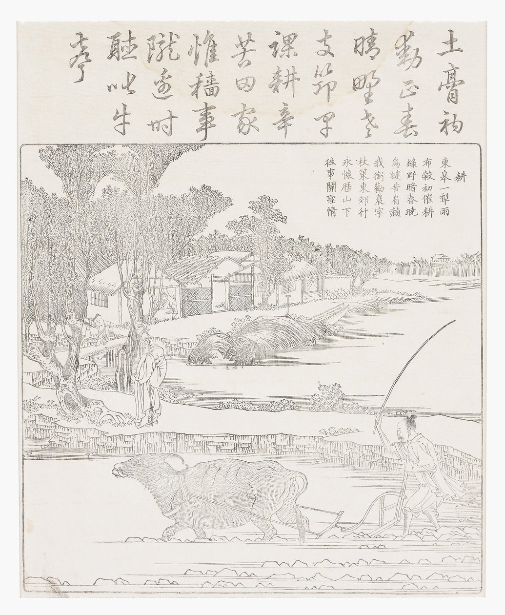 Pløying med en vannbøffel i gjørmete ris paddy. av School Chinese