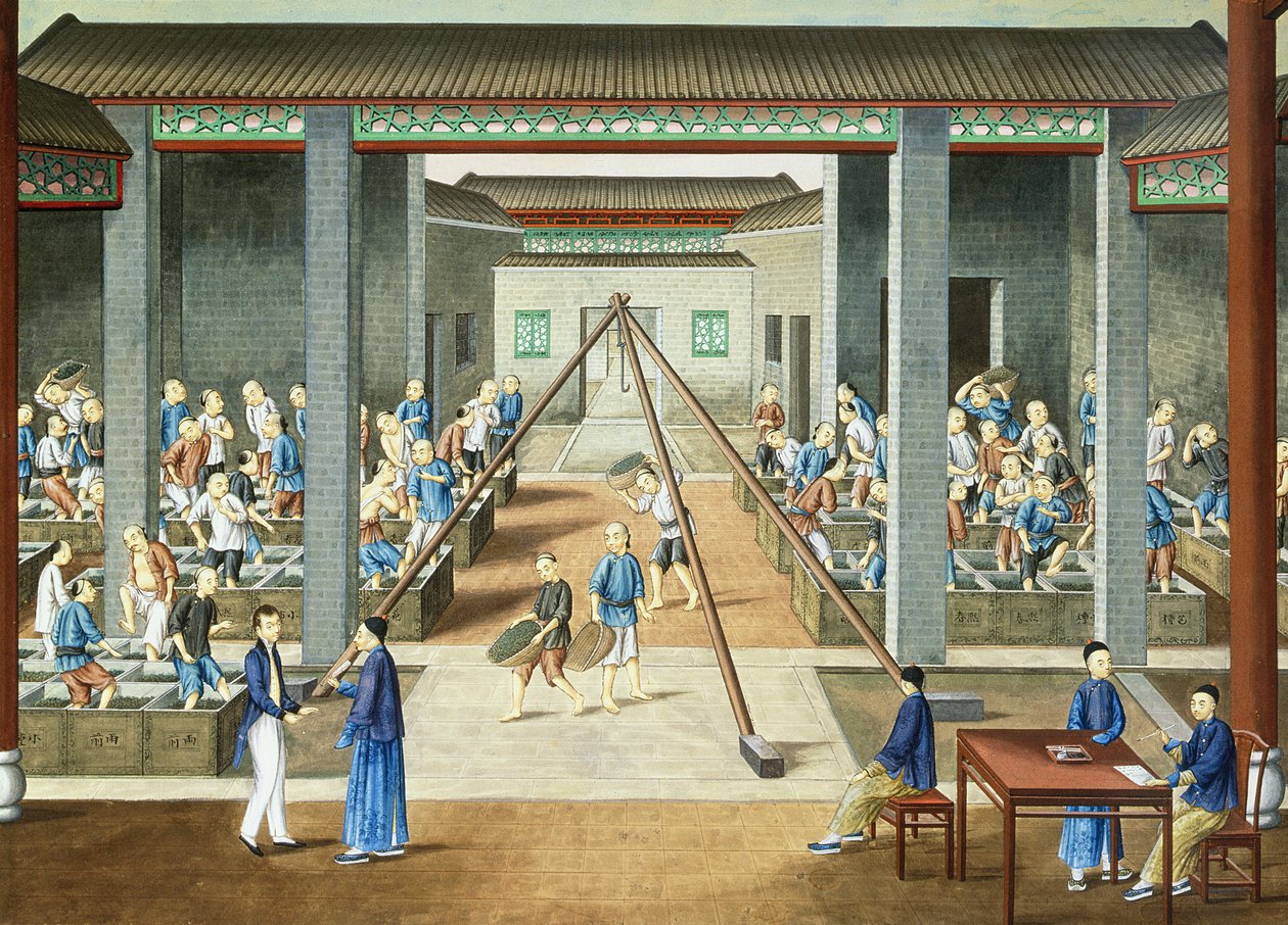  av School Chinese