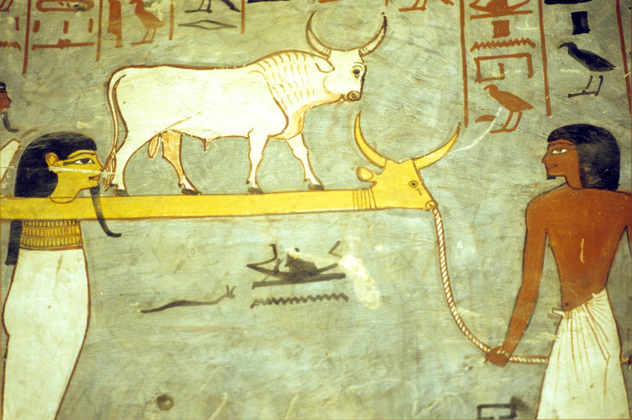  av School Egyptian