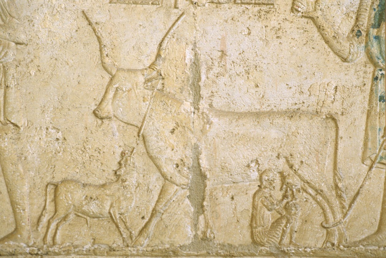  av School Egyptian