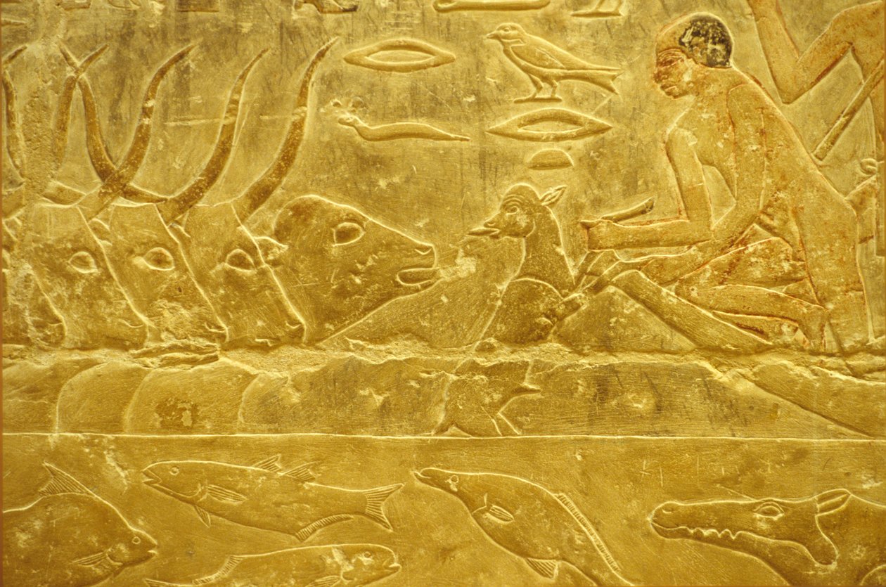  av School Egyptian