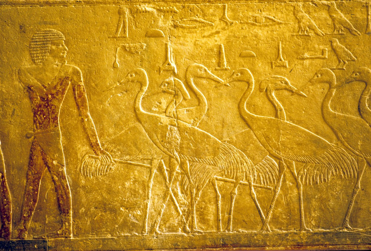  av School Egyptian