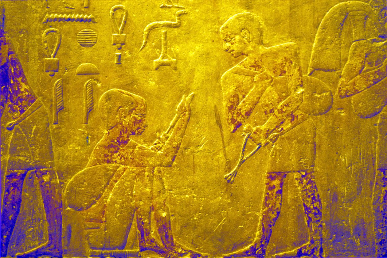 Det gamle Egypt, veggutskjæring/maleri, Mastaba/Tis grav, Saqqara, 5. dynasti, handelsvarer på markedet (bilde) av School Egyptian