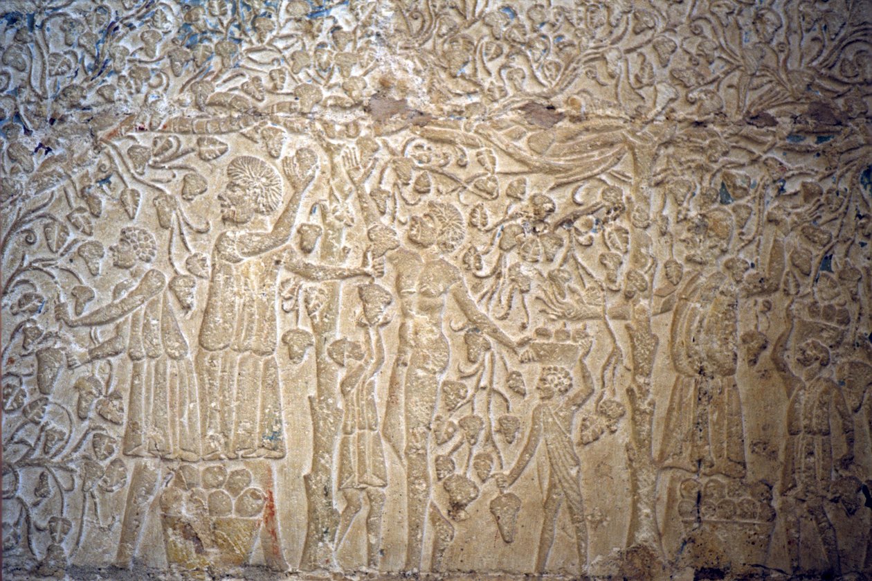  av School Egyptian